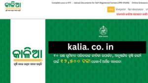 kalia. co. in